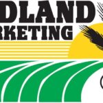 Midland Marketing
