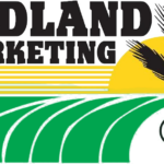 Midland Marketing